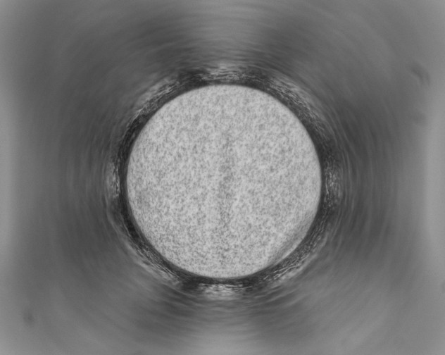 X0000110960751200907171649