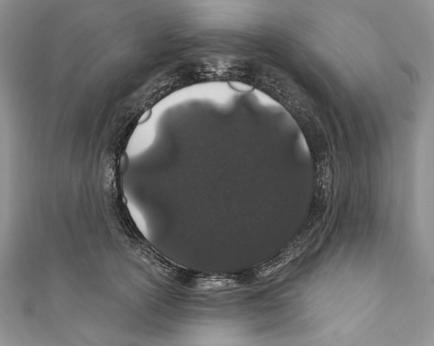 X0000110960754200907171649