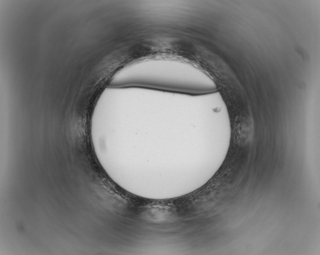 X0000110960756200907171649