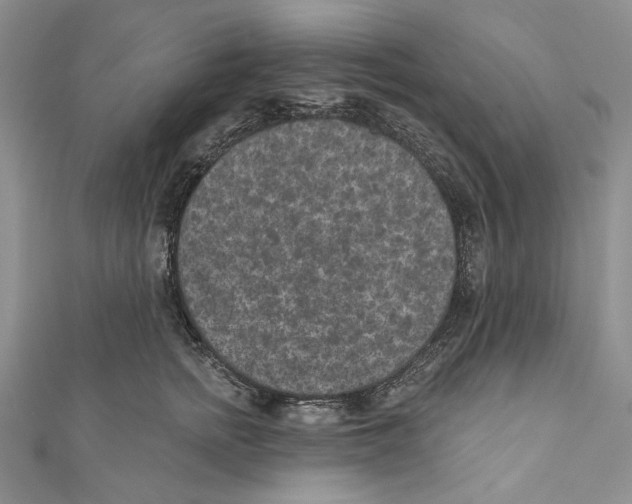 X0000110960758200907171649