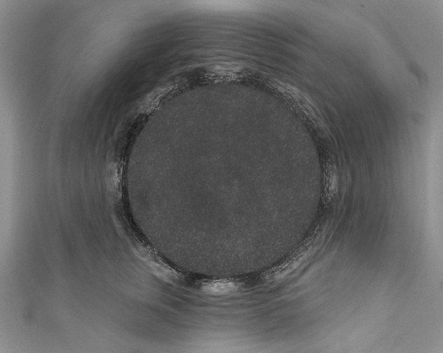 X0000110960759200907171649
