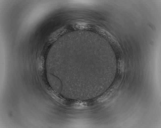 X0000110960760200907171649