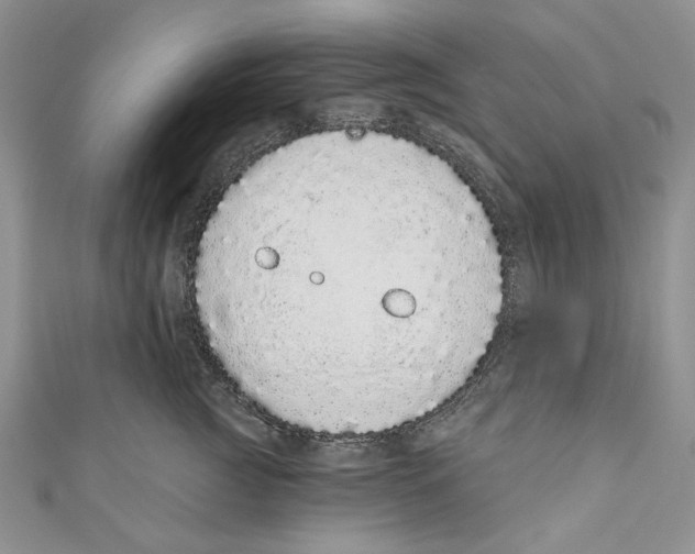 X0000110960761200907171649