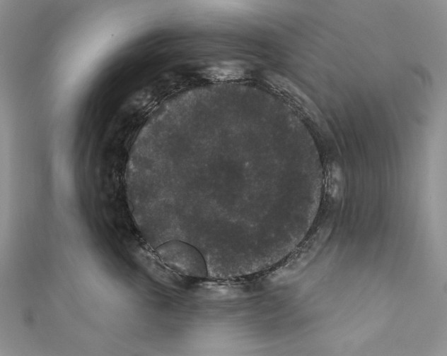 X0000110960763200907171649