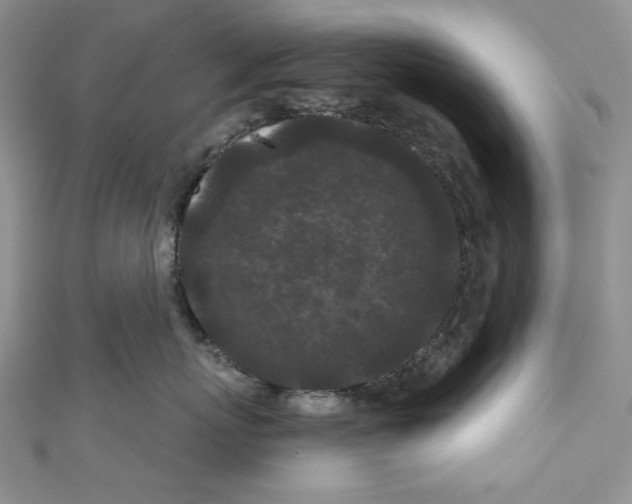 X0000110960767200907171649
