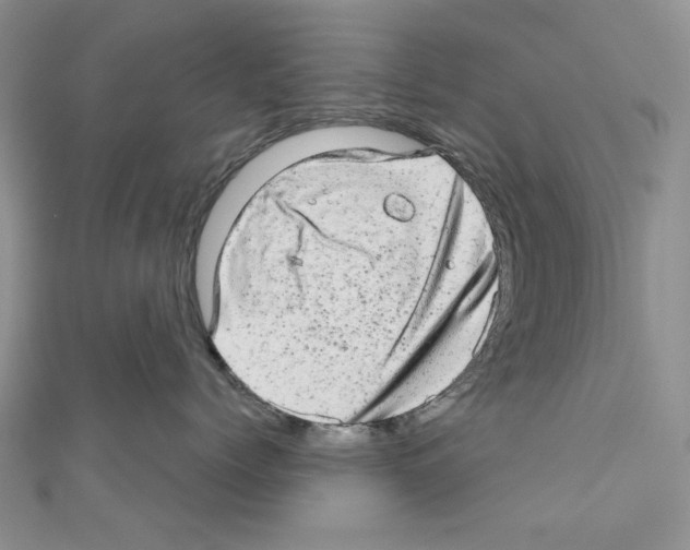 X0000110960768200907171649