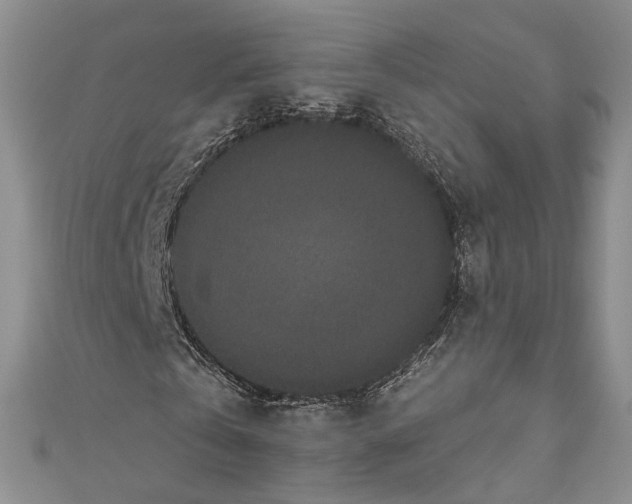 X0000110960769200907171648