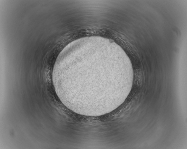 X0000110960770200907171648