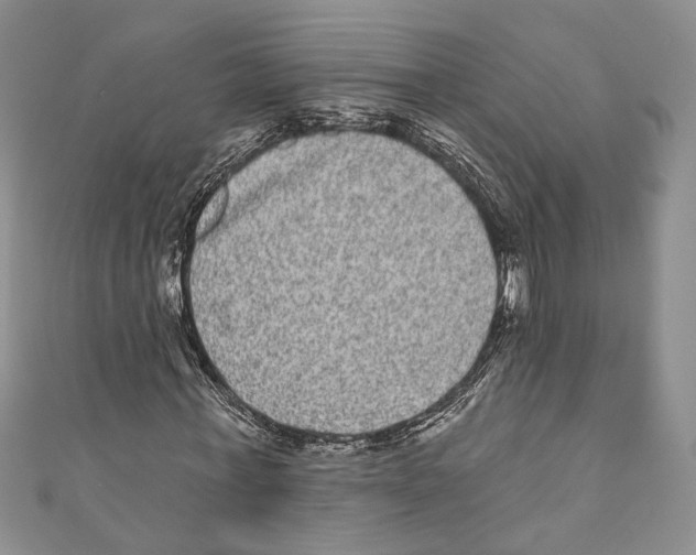 X0000110960771200907171648