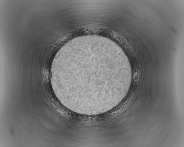 X0000110960772200907171648
