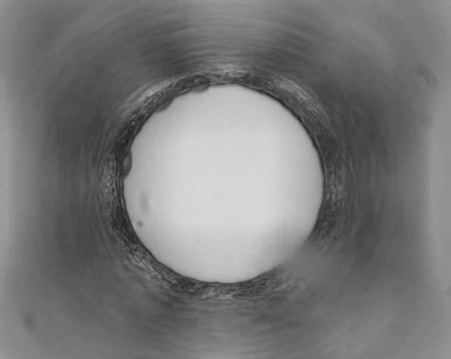 X0000110960773200907171648