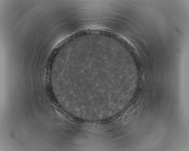 X0000110960775200907171648