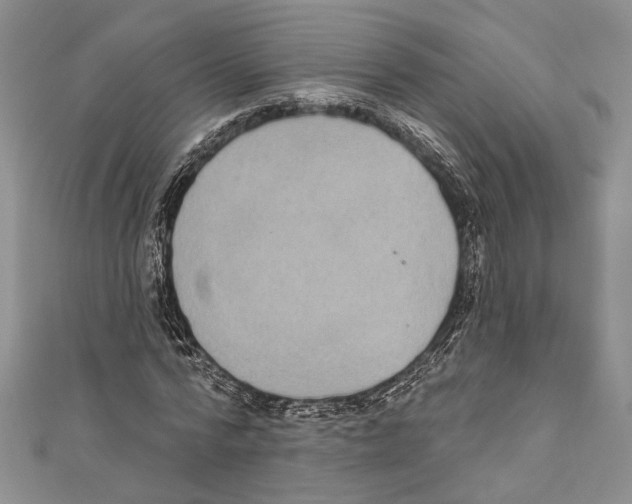 X0000110960776200907171648