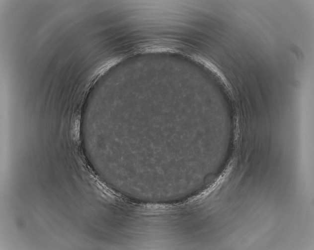 X0000110960777200907171648
