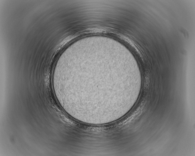 X0000110960778200907171648