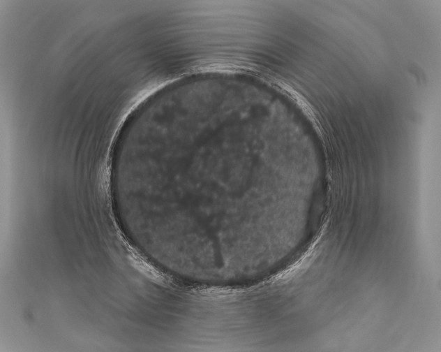 X0000110960779200907171648