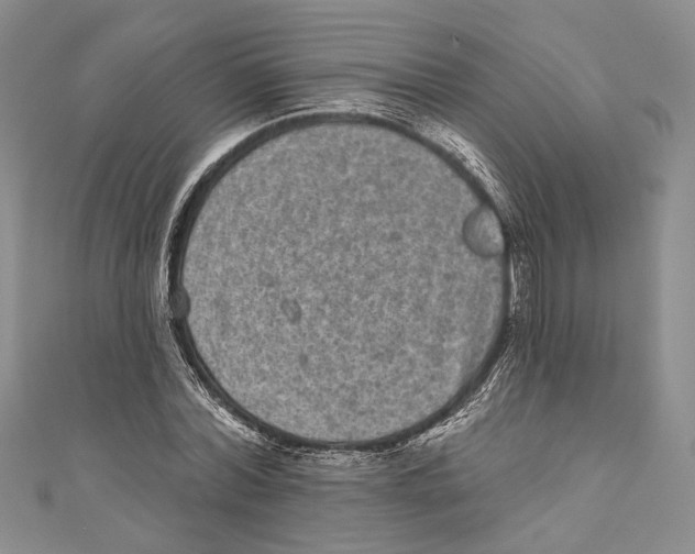 X0000110960780200907171648