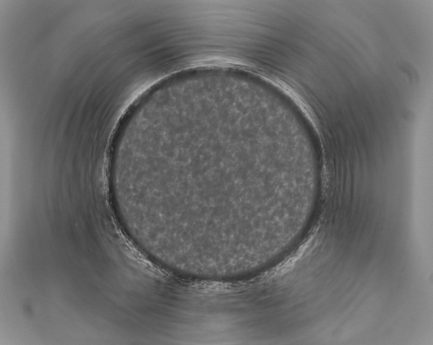 X0000110960783200907171648