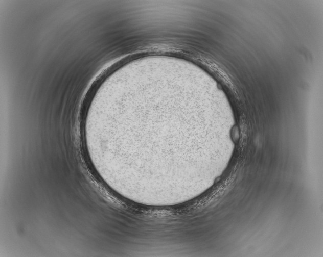 X0000110960784200907171648