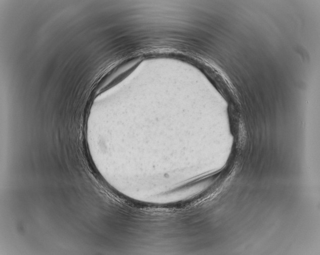 X0000110960785200907171648