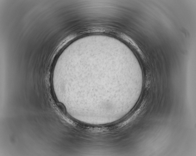 X0000110960786200907171648