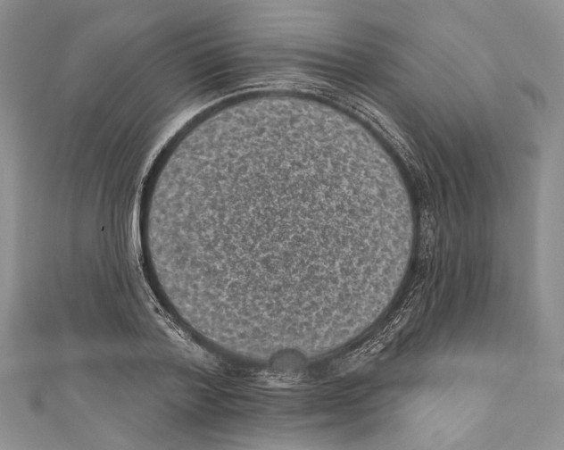 X0000110960788200907171648