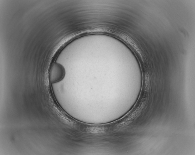 X0000110960789200907171648