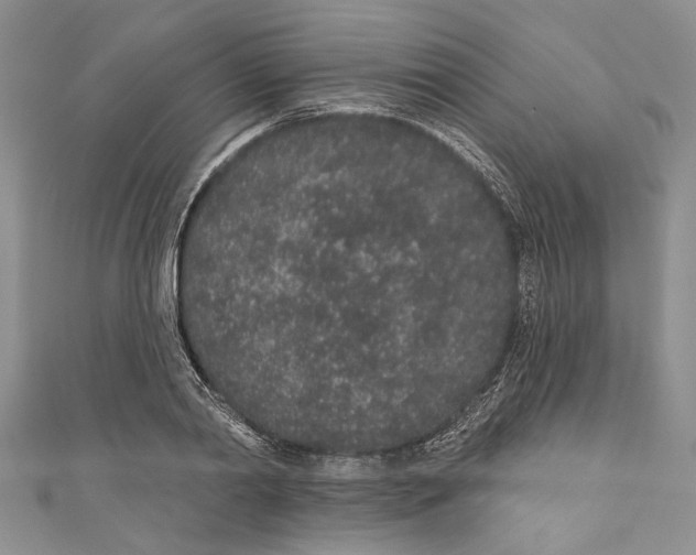 X0000110960790200907171648