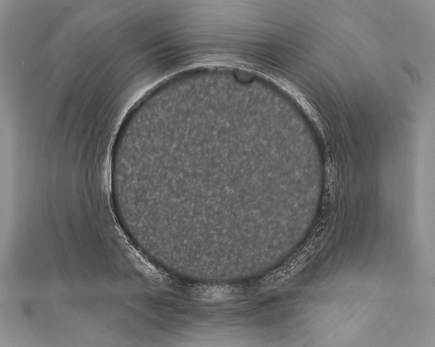 X0000110960791200907171648