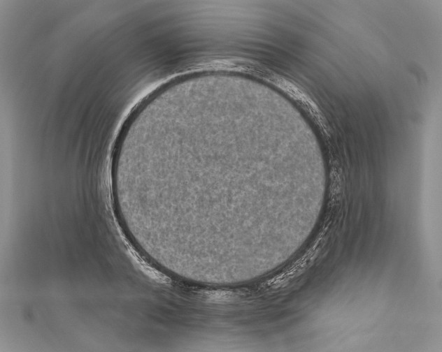 X0000110960792200907171648