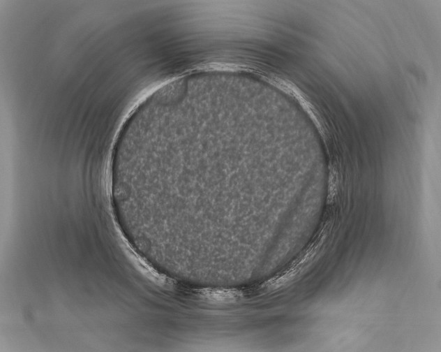 X0000110960795200907171648