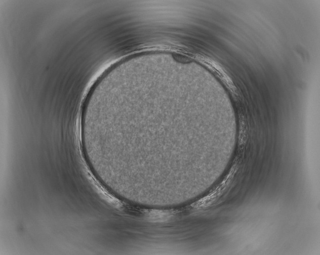 X0000110960796200907171648
