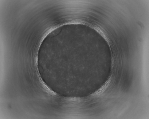 X0000110960797200907171648