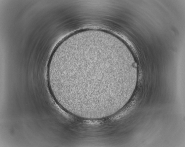 X0000110960799200907171648