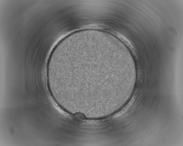 X0000110960800200907171648