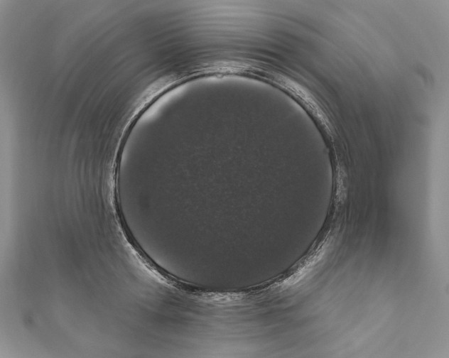 X0000110960802200907171648
