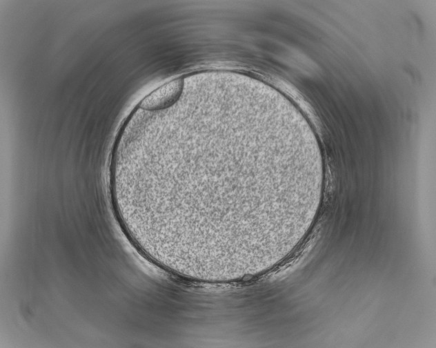 X0000110960803200907171648