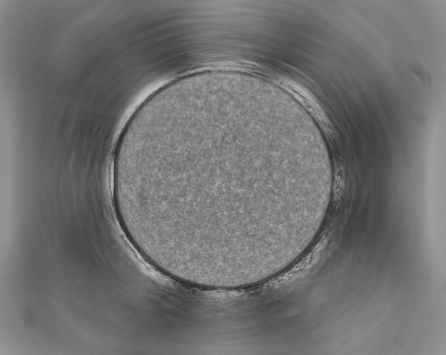 X0000110960804200907171648