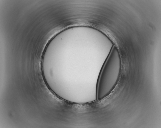 X0000110960805200907171648