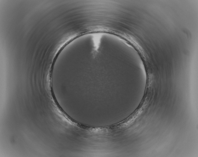 X0000110960806200907171648