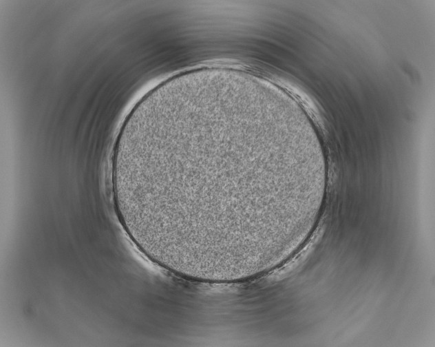 X0000110960808200907171648