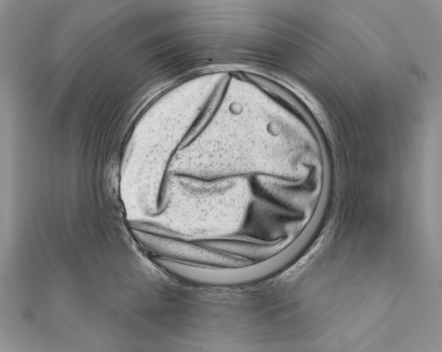 X0000110960809200907171648
