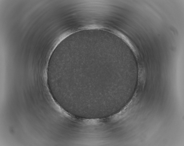 X0000110960810200907171648