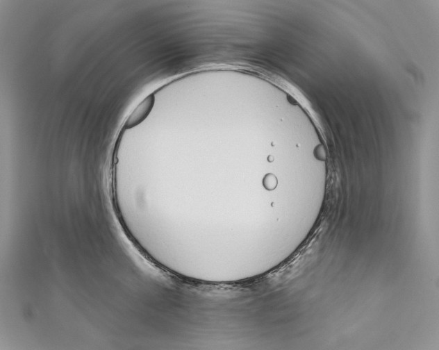 X0000110960811200907171648