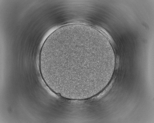 X0000110960812200907171648