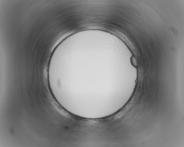 X0000110960814200907171648