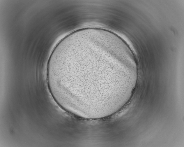 X0000110960815200907171648