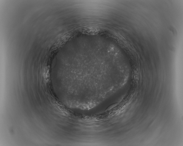 X0000110960818200907171647