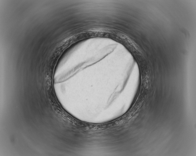 X0000110960821200907171647
