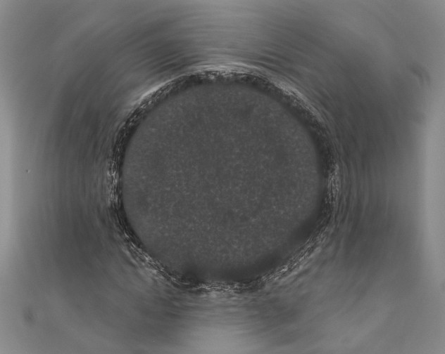 X0000110960822200907171647